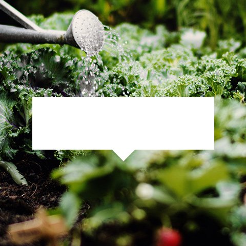Jardinería